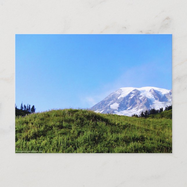 Rainier PDSC230 Postcard (Front)