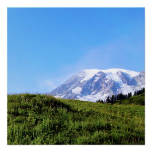 Rainier PDSC230 Poster