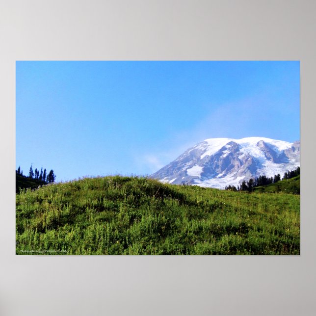 Rainier PDSC230 Poster (Front)