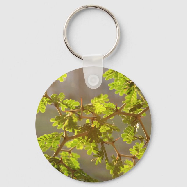 Raintree Branches Bonsai Photo Key Ring (Front)