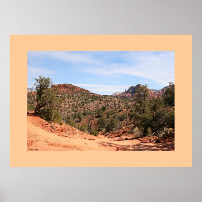 Rainwash Trail Poster (Front)