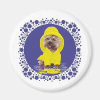Rainy Day Cairn Terrier