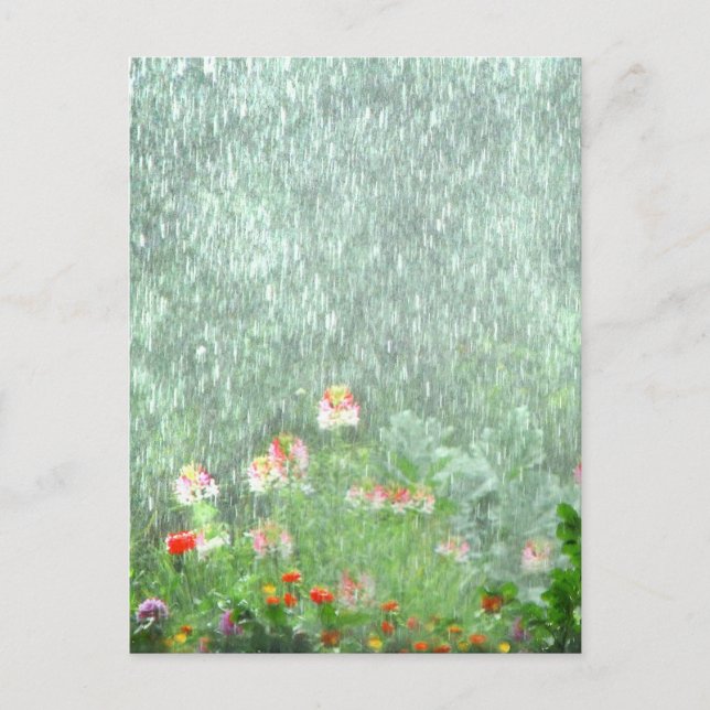 Rainy Day in the Flower Garden Postcard (Front)