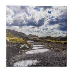 Rainy Day In Torres Del Paine NP Tile