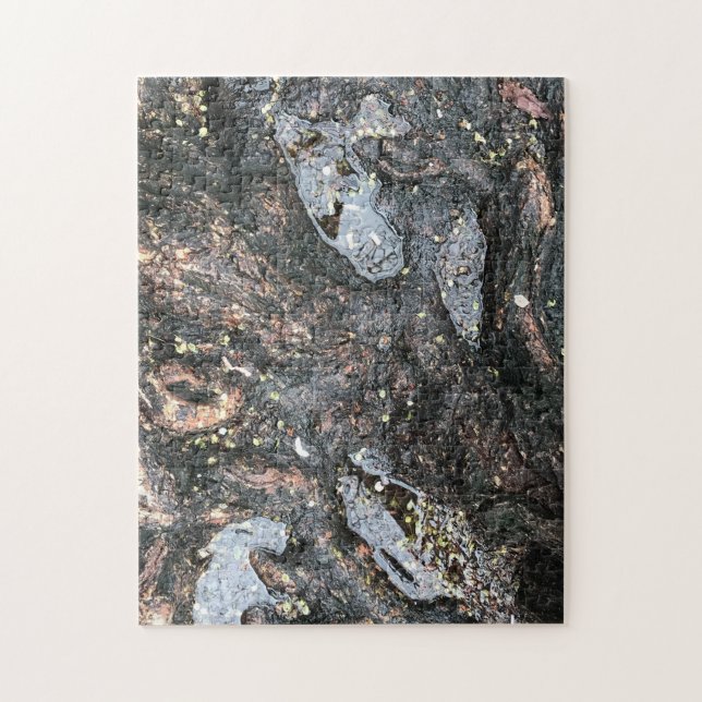 Rainy Day Tree Roots Water Nature Photo Puzzle (Vertical)