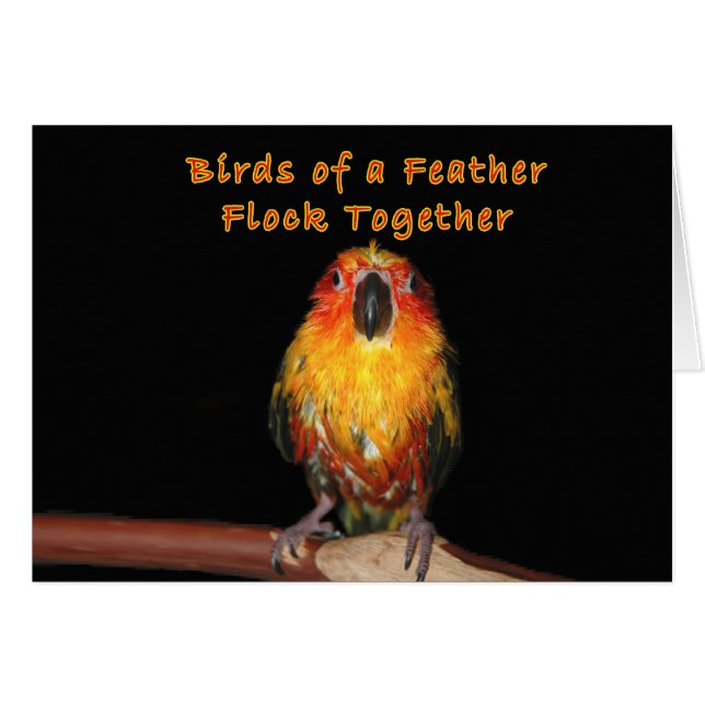 Rainy Days (Front Horizontal)