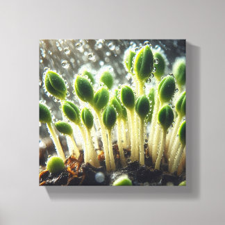 Rainy Growth - Canvas Print