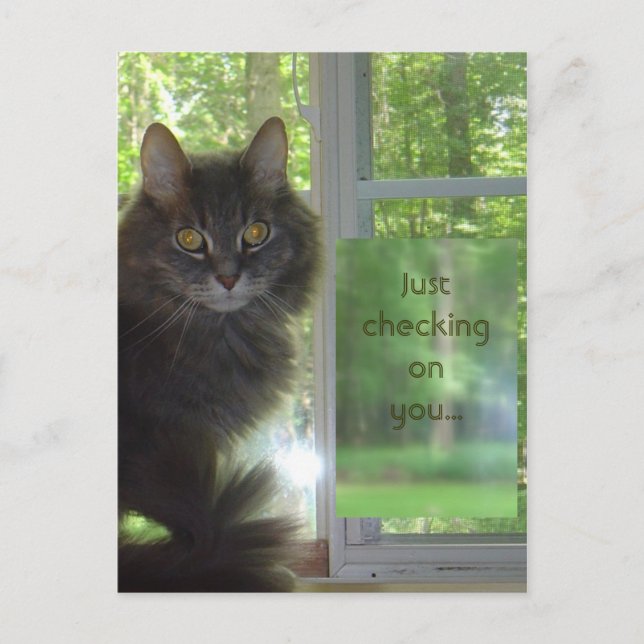 Rainy Postcard (Front)