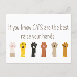 Raise Your Hands Cats Are Best Fun Quote Postcard