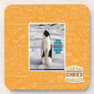 Raised by Penguins Coaster
