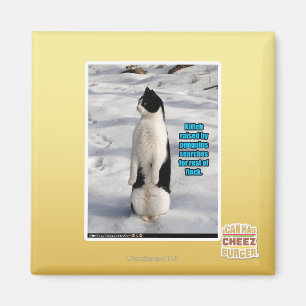 Raised by Penguins Magnet