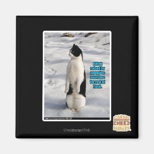 Raised by Penguins Magnet
