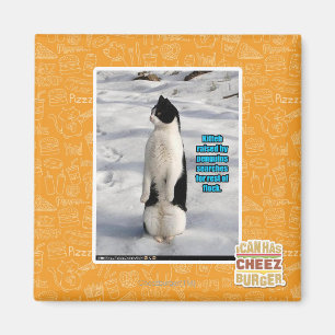 Raised by Penguins Magnet