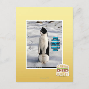 Raised by Penguins Postcard