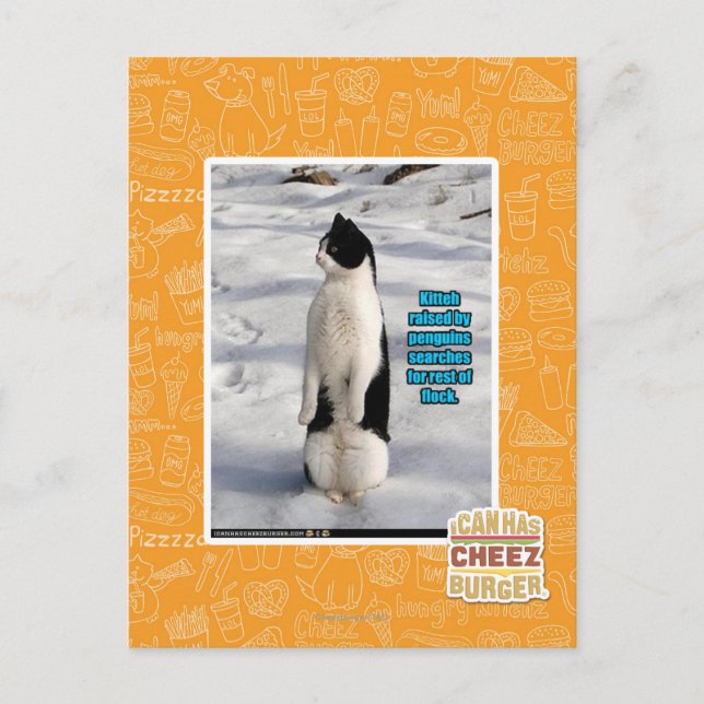 Raised by Penguins Postcard (Front)