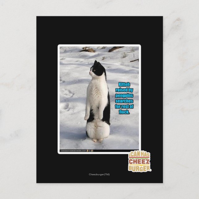 Raised by Penguins Postcard (Front)