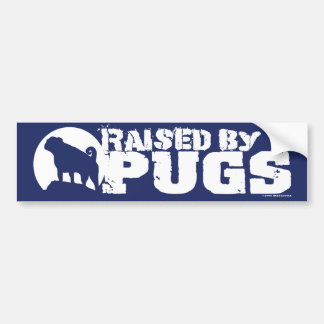 RAISED BY PUGS Blue Bumper Sticker