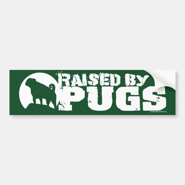 RAISED BY PUGS Green Bumper Sticker (Front)