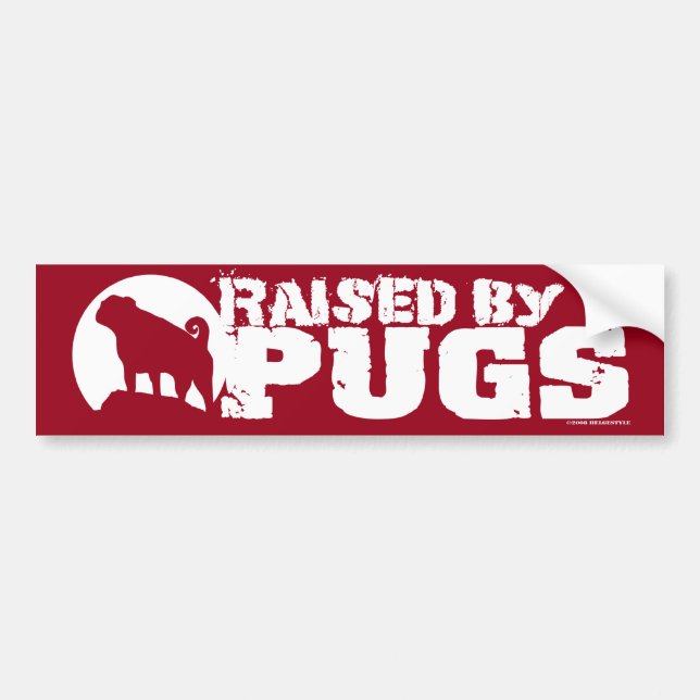 RAISED BY PUGS Red Bumper Sticker (Front)