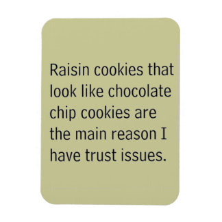RAISIN COOKIES THAT LOOK LIKE CHOCOLATE CHIPS ARE MAGNET