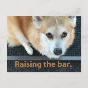 Raising the Bar Corgi Postcard