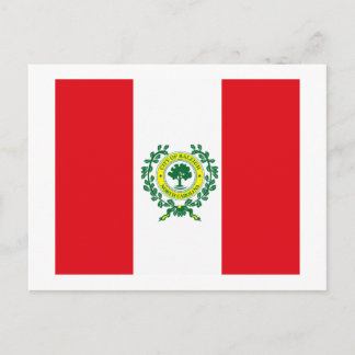 Raleigh Flag Postcard