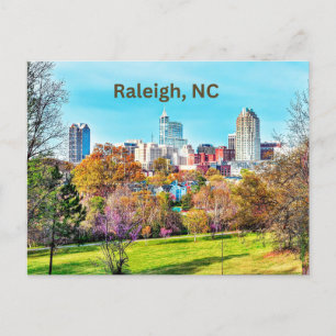 Raleigh, North Carolina Downtown  Postcard