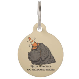Rally Practice, You're Doing It Wrong Pet Tag