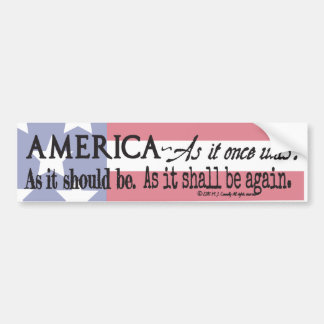Rallying cry of The Deplorables. Bumper Sticker