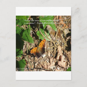 Ralph W Emerson "Pace Of Nature" Wisdom Quote Gift Postcard