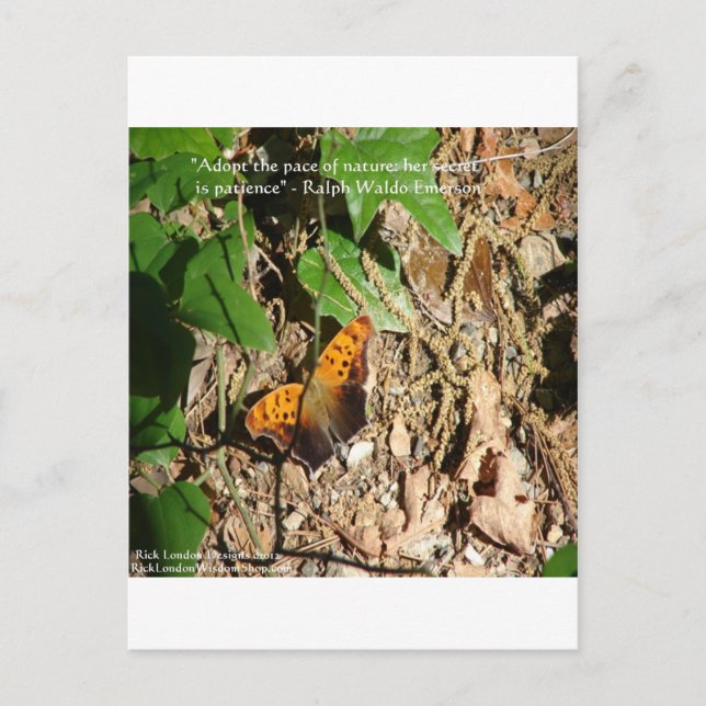 Ralph W Emerson "Pace Of Nature" Wisdom Quote Gift Postcard (Front)
