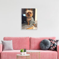 Ralphie the Teacup Yorkie One of Those Days
