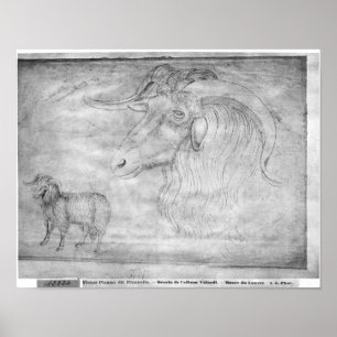 Ram and head of a ram poster