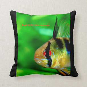 Ram Cichlid , Papiliochromis ramirezi Cushion