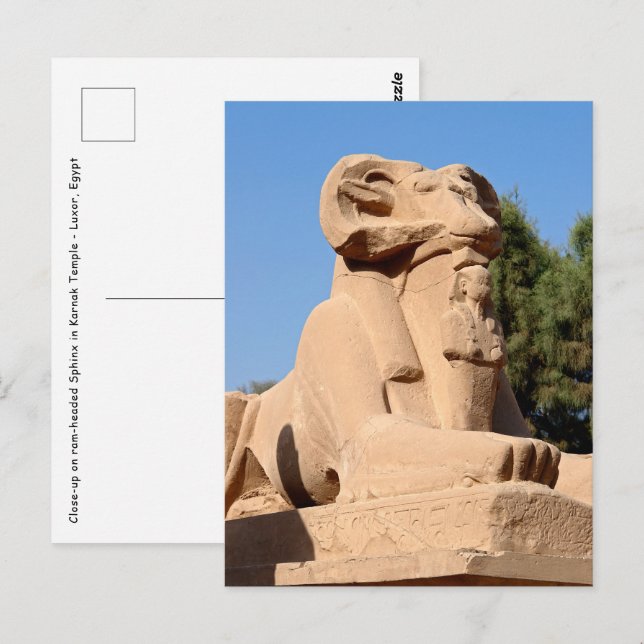 Ram-headed Sphinx in Karnak Temple - Egypt Postcard (Front/Back)