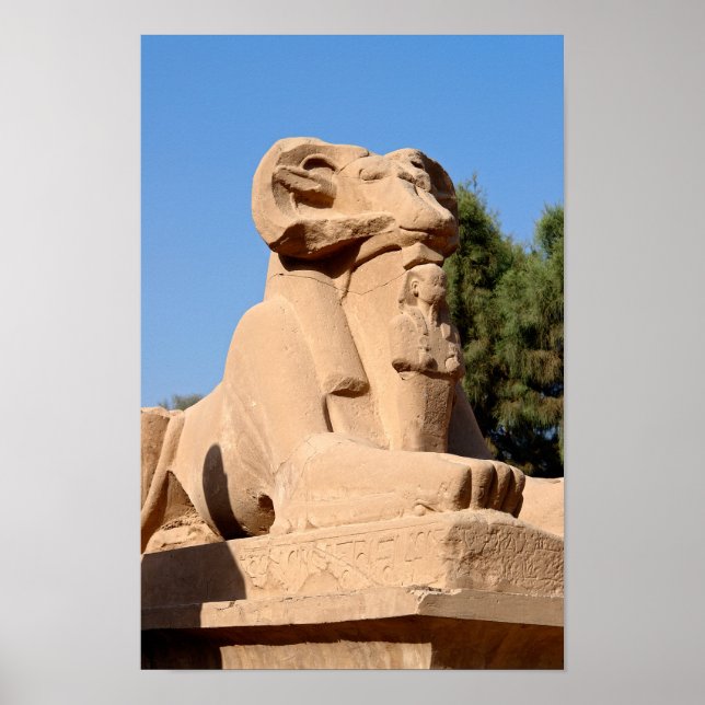 Ram-headed Sphinx in Karnak Temple - Egypt Poster (Front)