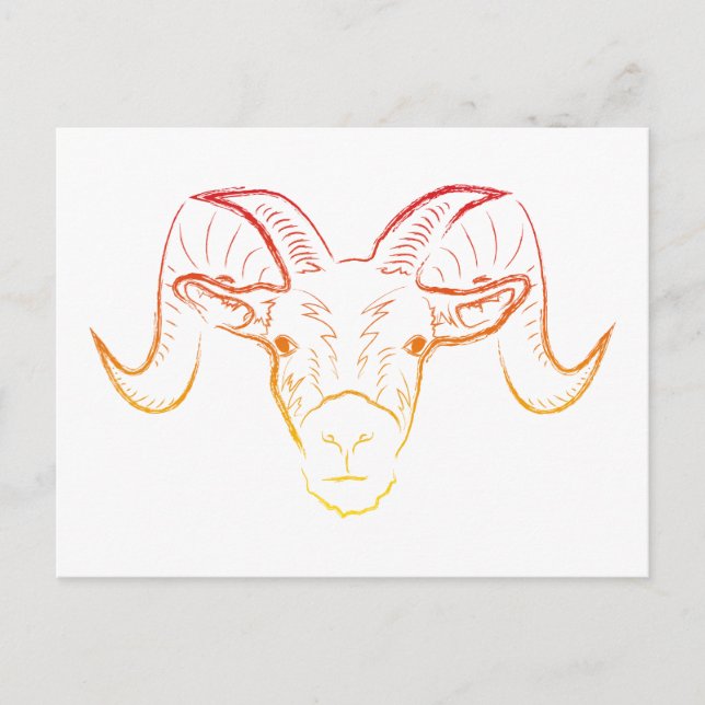 ram illustration postcard (Front)