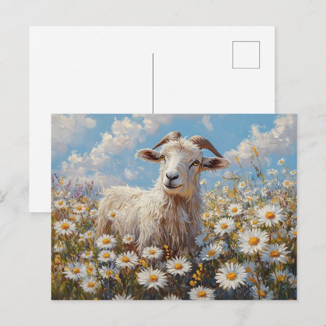 Ram in a Daisy Field Painting Postcard (Front/Back)