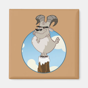 Ram Magnet