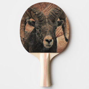 Ram Ping Pong Paddle