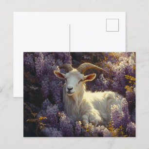 Ram Sleeping in Wisteria Flowers Postcard