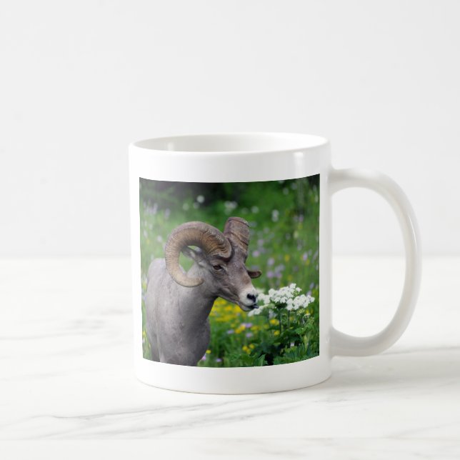 Ram - Smelling the Flowers Coffee Mug (Right)