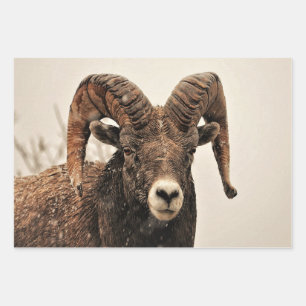 Ram Wrapping Paper Sheet