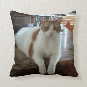 Rambo Kitty Cushion