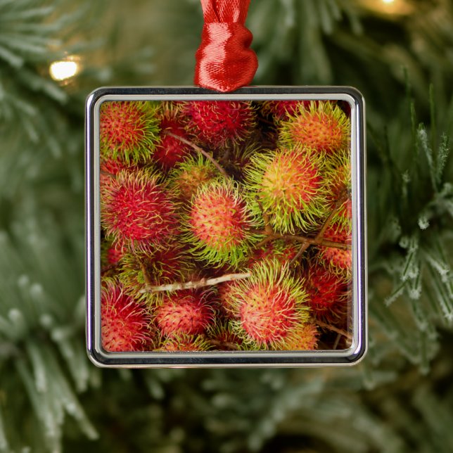 Rambutan Fruit at Can Duoc Market Metal Tree Decoration (Tree)