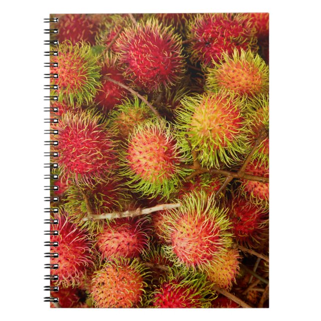 Rambutan Fruit at Can Duoc Market Notebook (Front)