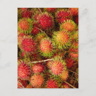 Rambutan Fruit at Can Duoc Market Postcard