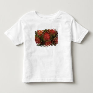 Rambutan Toddler T-Shirt