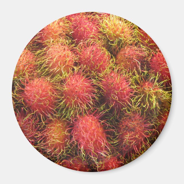 Rambutan Tropical Fruit Magnet (Front)