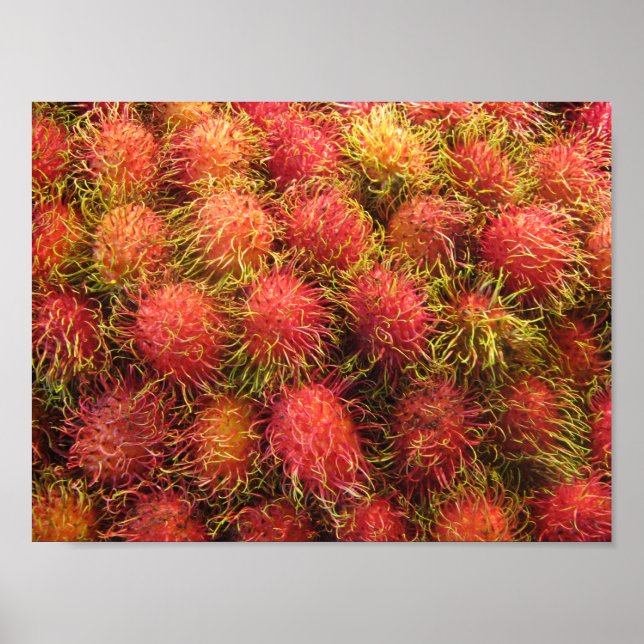 Rambutan Tropical Fruit Poster (Front)